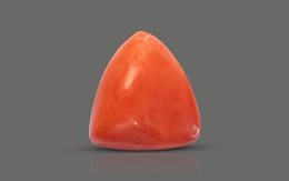 Red Coral - TC 5154 (Origin - Italy) Prime - Quality